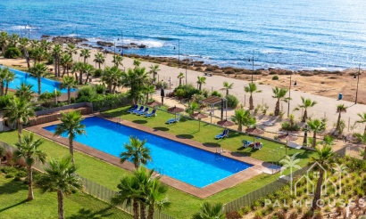 Nouvelle construction - Apartment - Torrevieja - Punta Prima
