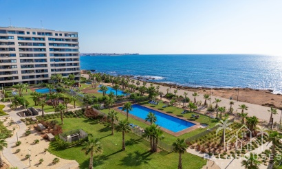 Nouvelle construction - Apartment - Torrevieja - Punta Prima