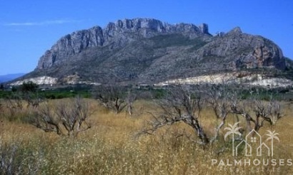 Nieuwbouw - Appartement - Alicante - El Verger