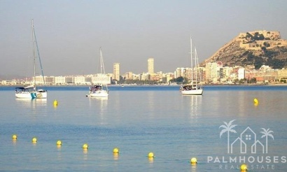 Nouvelle construction - Maison - Alicante - El Verger