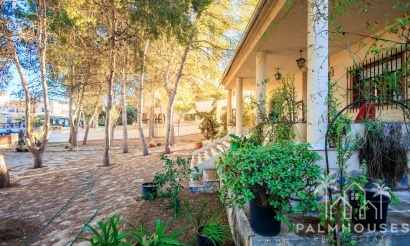 Revente - Villa - Torrevieja - Los Balcones